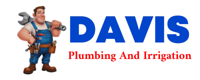 Trusted plumber in PHEBA